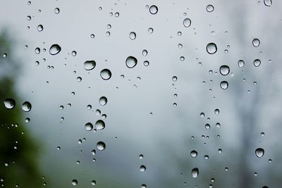 Waterdrops on glass against blurred built structures