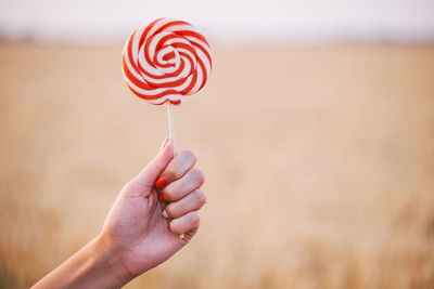 Close-up of hand holding red lollipop on field