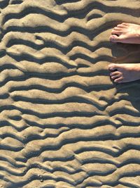 Low section of woman on sand at beach