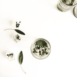 Close-up of over white background