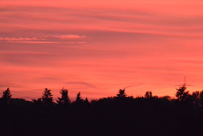 Silhouette trees against sky during sunset