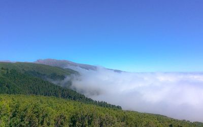 Scenic view of landscape against clear blue sky