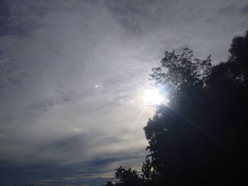 Low angle view of silhouette trees against sky