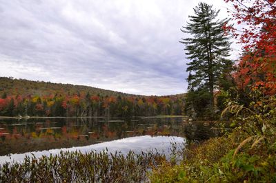 Scenic view of lake against sky during autumn