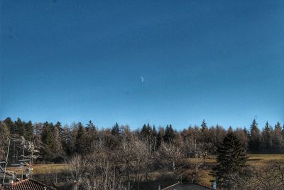 Scenic view of trees against clear blue sky