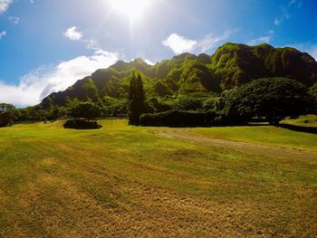 Scenic view of landscape against sky