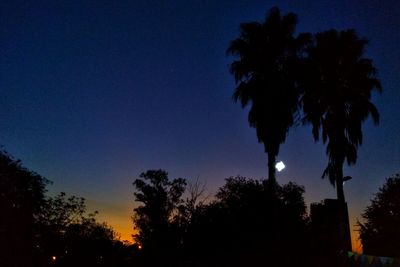 Low angle view of silhouette trees against sky at night