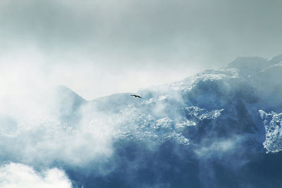 Low angle view of bird flying against mountains