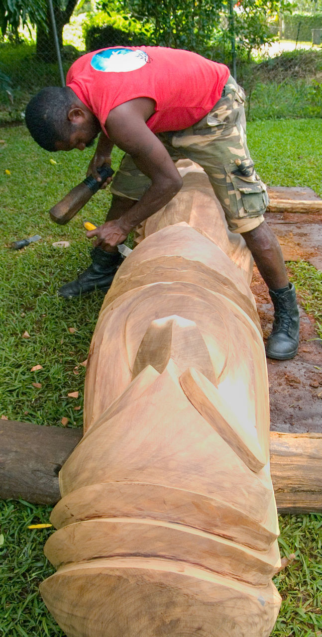 REAR VIEW OF MEN ON FIELD BY TREE