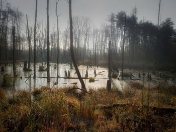 Scenic view of lake against sky