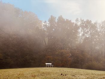 Trees on field against sky during autumn