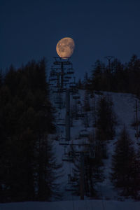 Scenic view of snow covered land and trees against sky at night