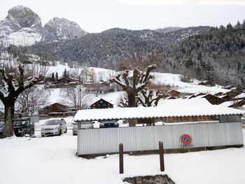 Snow covered trees by buildings against mountain