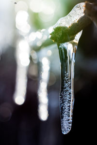 Close-up of ice crystals against blurred background