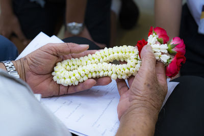 Close-up of hand holding flowering plant