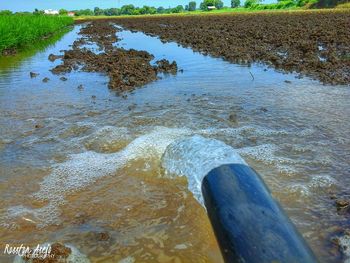 Scenic view of water