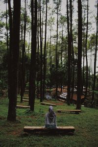 Man sitting on bench in forest