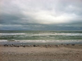 sea
