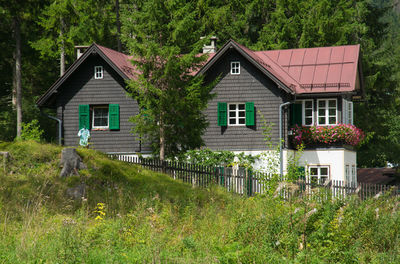 House on field