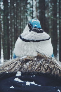 Rear view of senior woman in snow covered forest