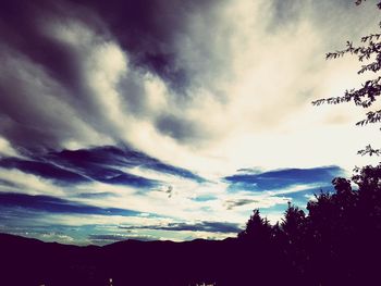 Silhouette trees against sky