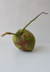 Close-up of fruit on table against white background