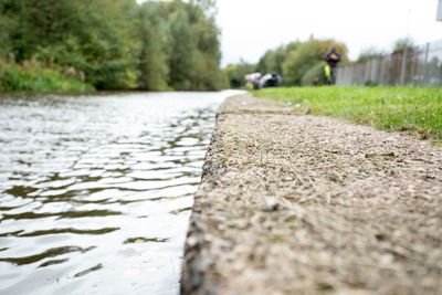 Close-up of water flowing in grass