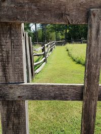 Fence on field by trees