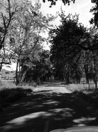 Road amidst trees against sky seen through car windshield