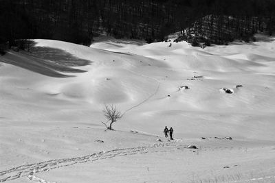 People on snow covered land