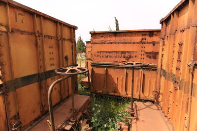 wall