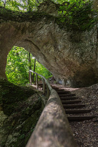 Low angle view of footbridge in forest