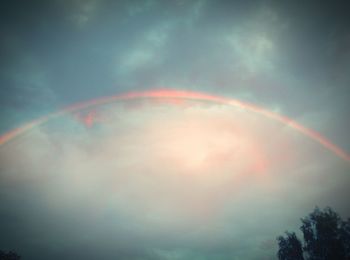 Low angle view of rainbow over trees
