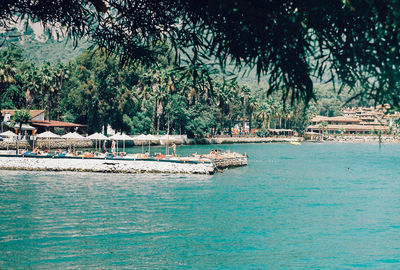 Calm sea with trees in background