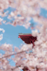 Low angle view of cherry blossom against cloudy sky