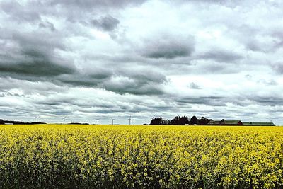 Scenic view of field against cloudy sky