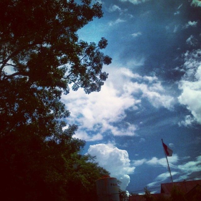 low angle view, sky, tree, cloud - sky, cloudy, cloud, nature, branch, day, outdoors, street light, building exterior, built structure, no people, high section, growth, beauty in nature, tranquility, architecture, flag