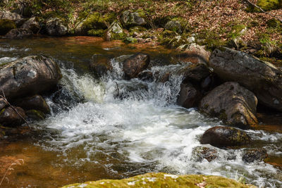 River flowing through rocks in forest