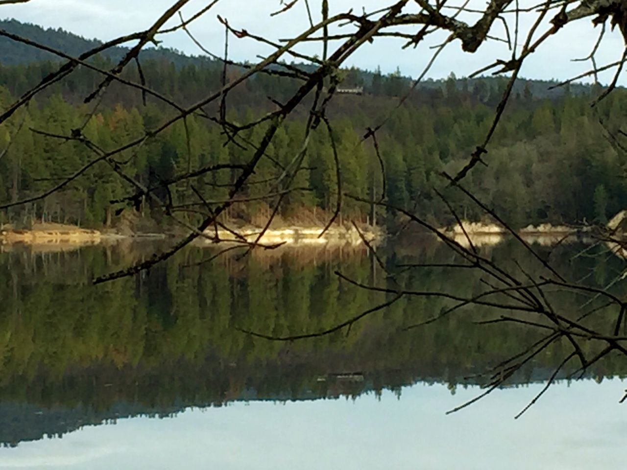 water, reflection, lake, tranquility, tree, tranquil scene, scenics, beauty in nature, waterfront, nature, standing water, branch, green color, sky, growth, river, idyllic, landscape, mountain, non-urban scene