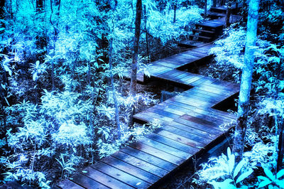 High angle view of footbridge in forest