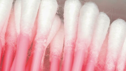 Close-up of pink petals