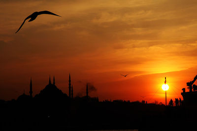 Silhouette of birds flying in sky during sunset