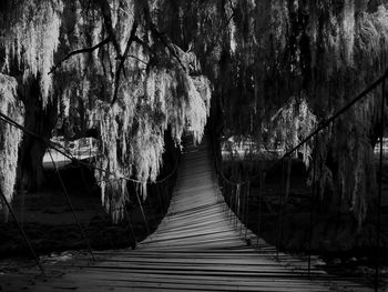 High angle view of empty footbridge amidst trees