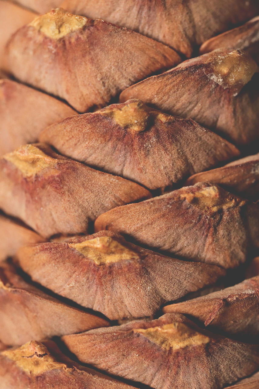 FULL FRAME SHOT OF BREAD ON STORE