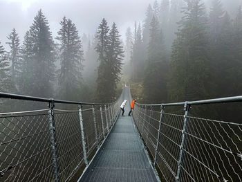 Rear view of woman walking on footbridge