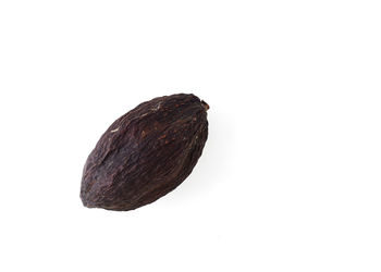 Close-up of bread against white background