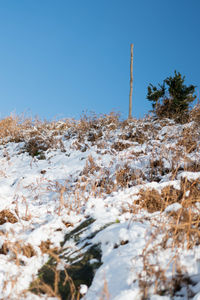 Close-up of snow covered landscape against clear blue sky