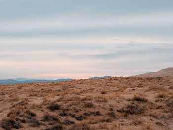 Scenic view of desert against sky