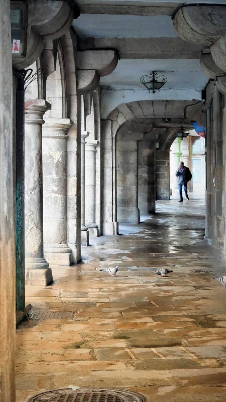 FULL LENGTH REAR VIEW OF MAN WALKING IN BUILDING