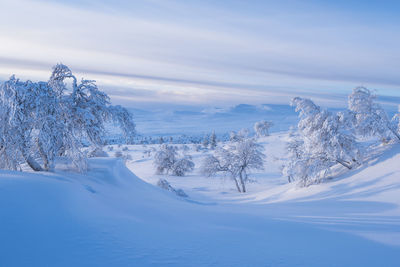 Mountains at winter